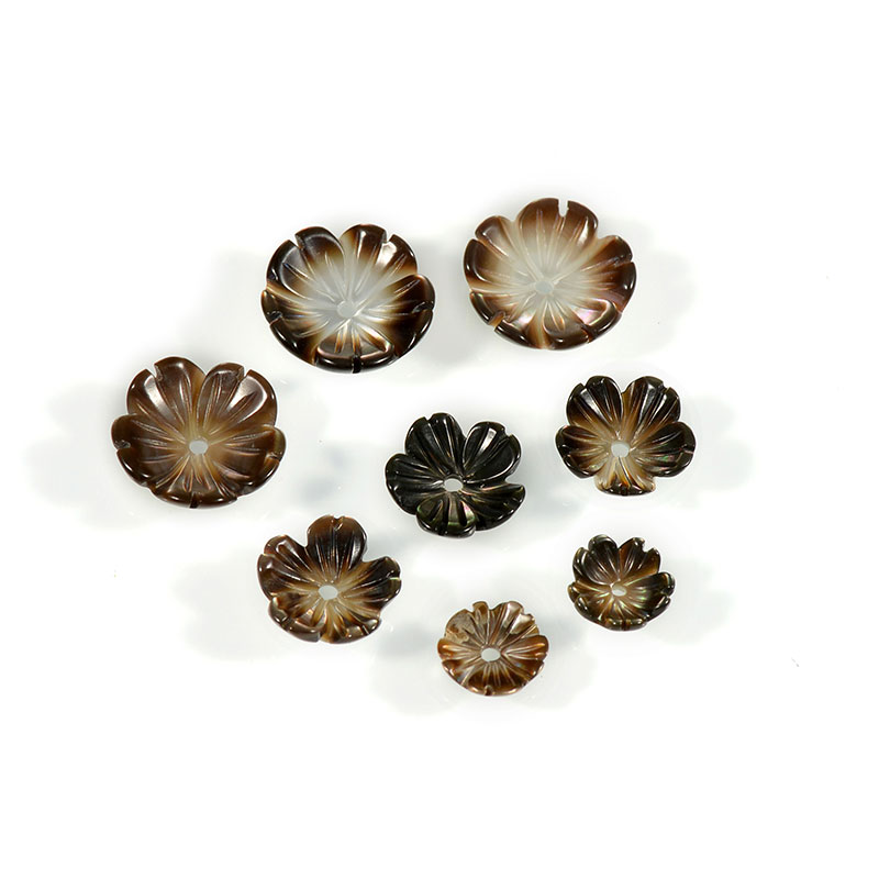 Loose Shell Beads