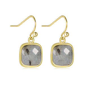 Labradorite Charms Brass Hook Earrings