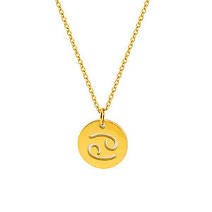 18K Gold Plated Stainless Steel Zodiac Pendant Necklace